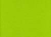 Wooly13green2079